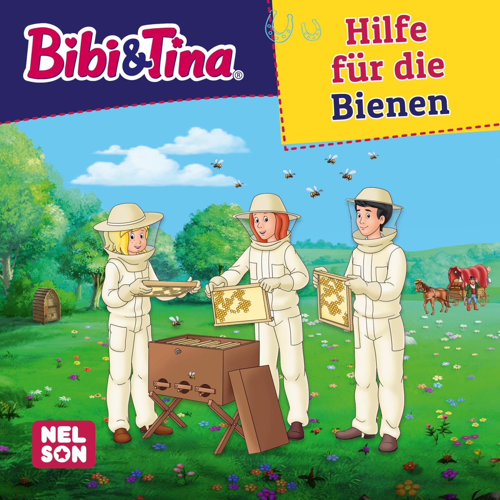 Maxi-Mini 220: VE5: Bibi & Tina: Hilfe für die Bienen (5x1 Exemplar) (Nelson Maxi-Mini)