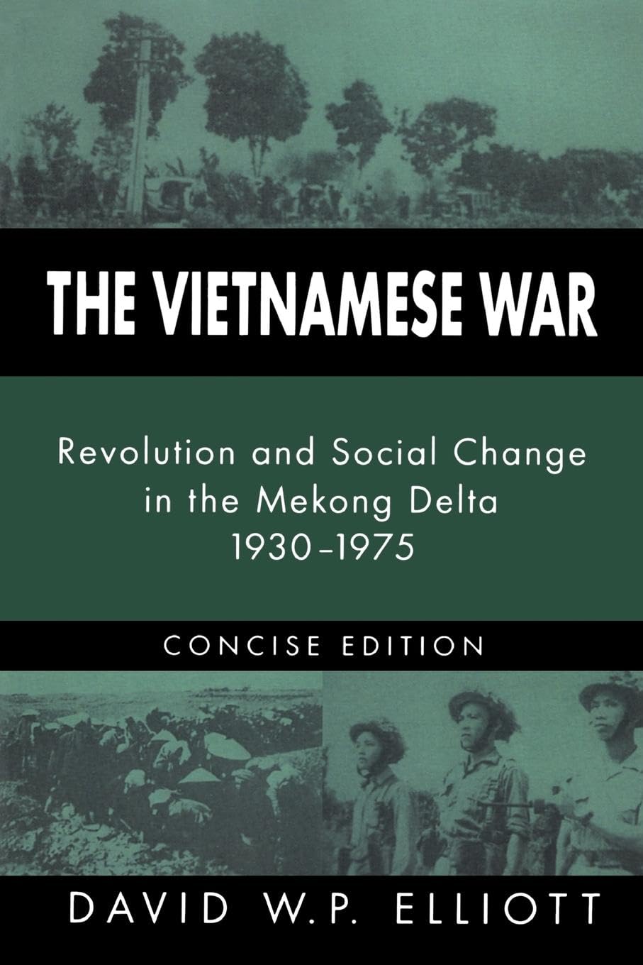 The Vietnamese War: Revolution and Social Change in the Mekong Delta, 1930-1975 (Pacific Basin Institute Book)