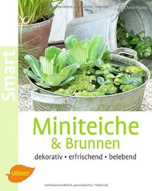 Miniteiche und Brunnen: Dekorativ, erfrischend, belebend