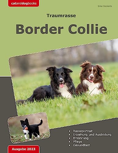 Traumrasse: Border Collie