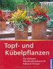Topf- und Kübelpflanzen: Die schönsten Pflanzkombinationen für Balkon & Terrrasse