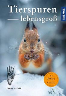 Tierspuren lebensgroß: 50 Tierspuren und wer sie hinterlässt