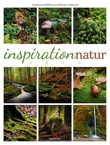 Inspiration Natur Kalender 2022, Wandkalender im Hochformat (50x66 cm) - Inspirations- / Naturkalender mit Bildmosaik im Triplet-Stil