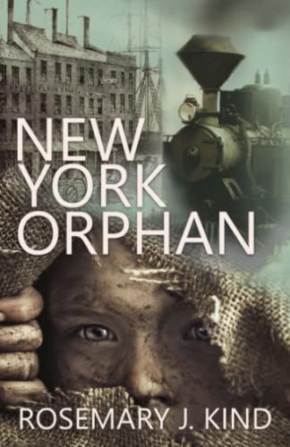 New York Orphan (Tales of Flynn and Reilly, Band 2)