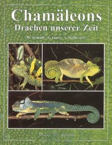 Chamäleons: Drachen unserer Zeit von Schmidt, W., Tamm, K. | Buch | Zustand sehr gut