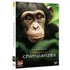 Chimpanzés 