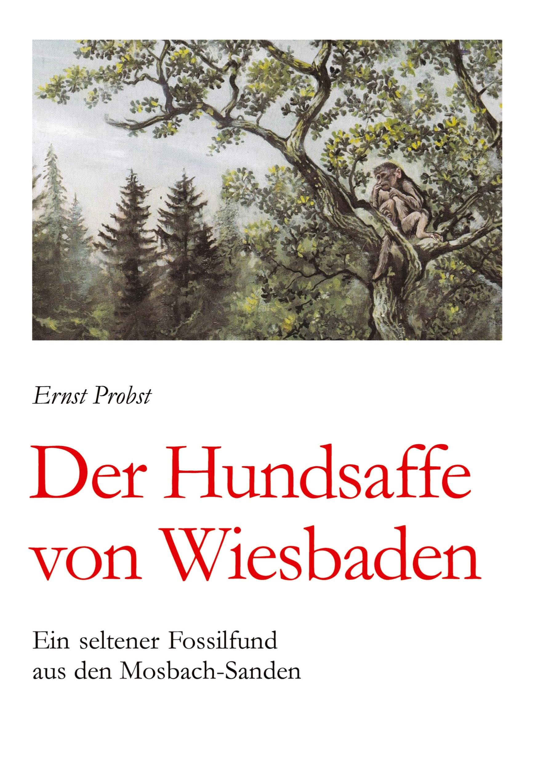 Der Hundsaffe von Wiesbaden: Ein seltener Fossilfund aus den Mosbach-Sanden