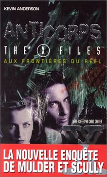 Aux frontières du réel : les romans. Vol. 4. Ruines