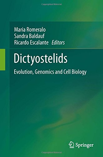 Dictyostelids: Evolution, Genomics and Cell Biology