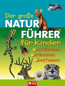 Der große Naturführer für Kinder: Entdecken, erkennen, bestimmen