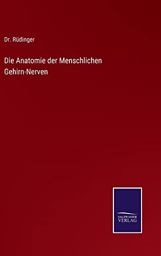 Die Anatomie der Menschlichen Gehirn-Nerven