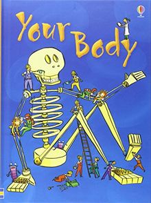 Your Body (Beginners)