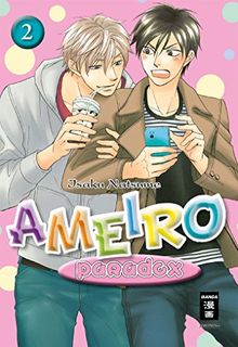 Ameiro Paradox 02