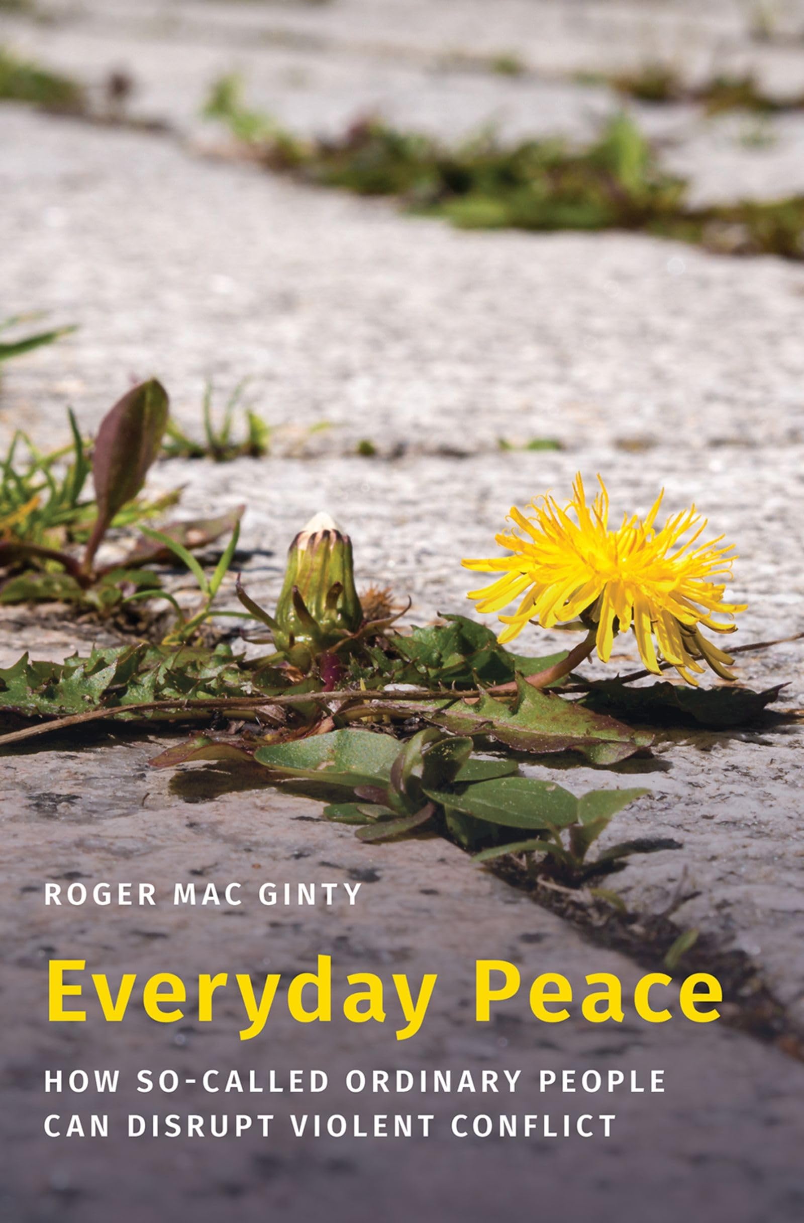 Everyday Peace: How So-Called Ordinary People Can Disrupt Violent Conflict (Studies in Strategic Peacebuilding)