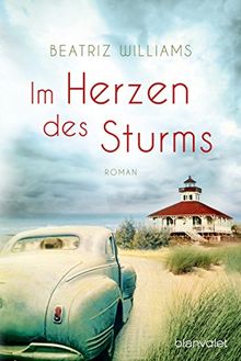 Im Herzen des Sturms: Roman