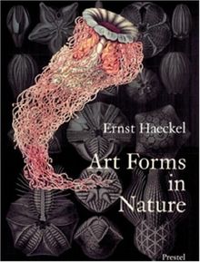 Ernst Haeckel Art Forms in Nature