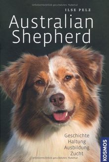 Australian Shepherd: Geschichte, Haltung, Ausbildung, Zucht