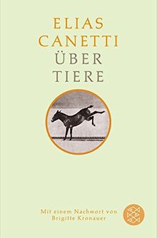 Über Tiere: Mit einem Nachwort von Brigitte Kronauer