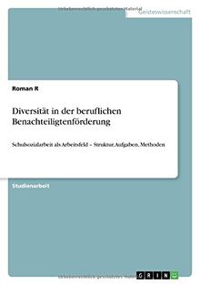Diversität in der beruflichen Benachteiligtenförderung: Schulsozialarbeit als Arbeitsfeld - Struktur, Aufgaben, Methoden