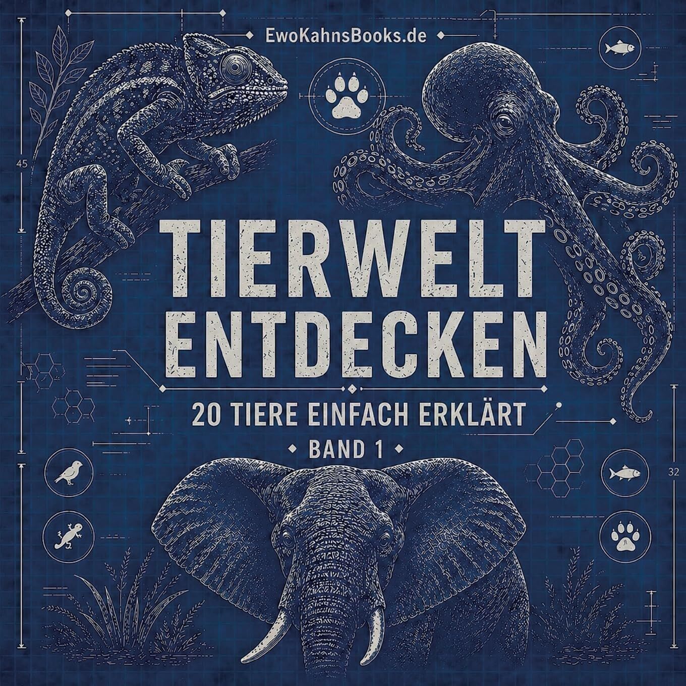 Tierwelt entdecken