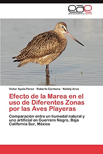 Efecto de la Marea en el uso de Diferentes Zonas por las Aves Playeras: Comparación entre un humedal natural y uno artificial en Guerrero Negro, Baja California Sur, México