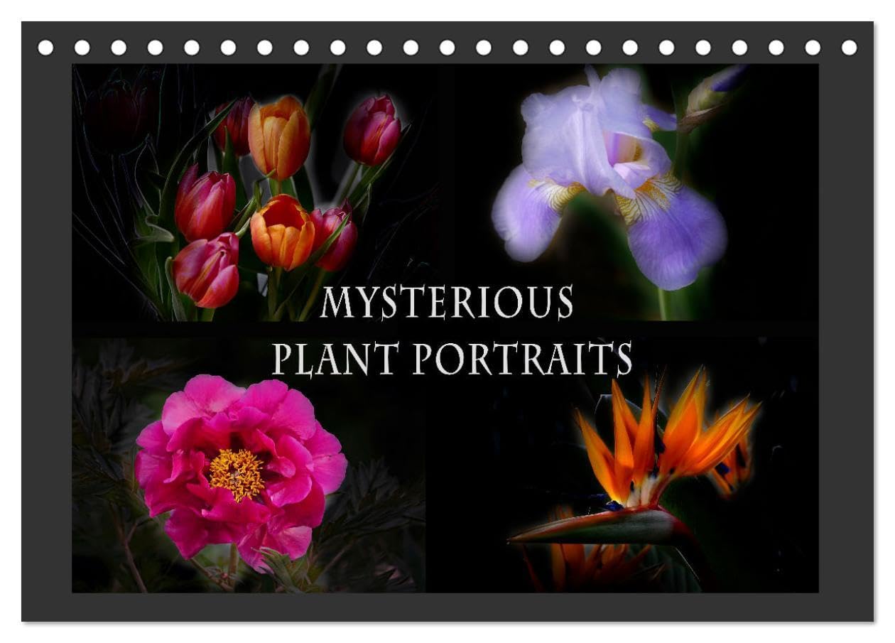Mysterious plant portraits (Desk Calendar 2026 DIN A5 landscape), CALVENDO 12 Month DeskCalendar: Magical plants glow in the dark
