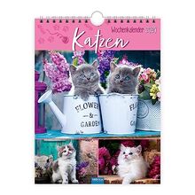 Trötsch Wochenkalender zum Hängen Katzen 2024: Wandkalender von Trötsch Verlag GmbH & Co. KG | Buch | Zustand sehr gut