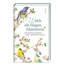 Welch ein Singen, Musizieren: Geschichten & Gedanken unserer gefiederten Freunde