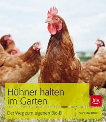 Hühner halten im Garten: Der Weg zum eigenen Bio-Ei