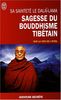 Sagesse du bouddisme tibétain
