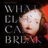 What Else Can Break