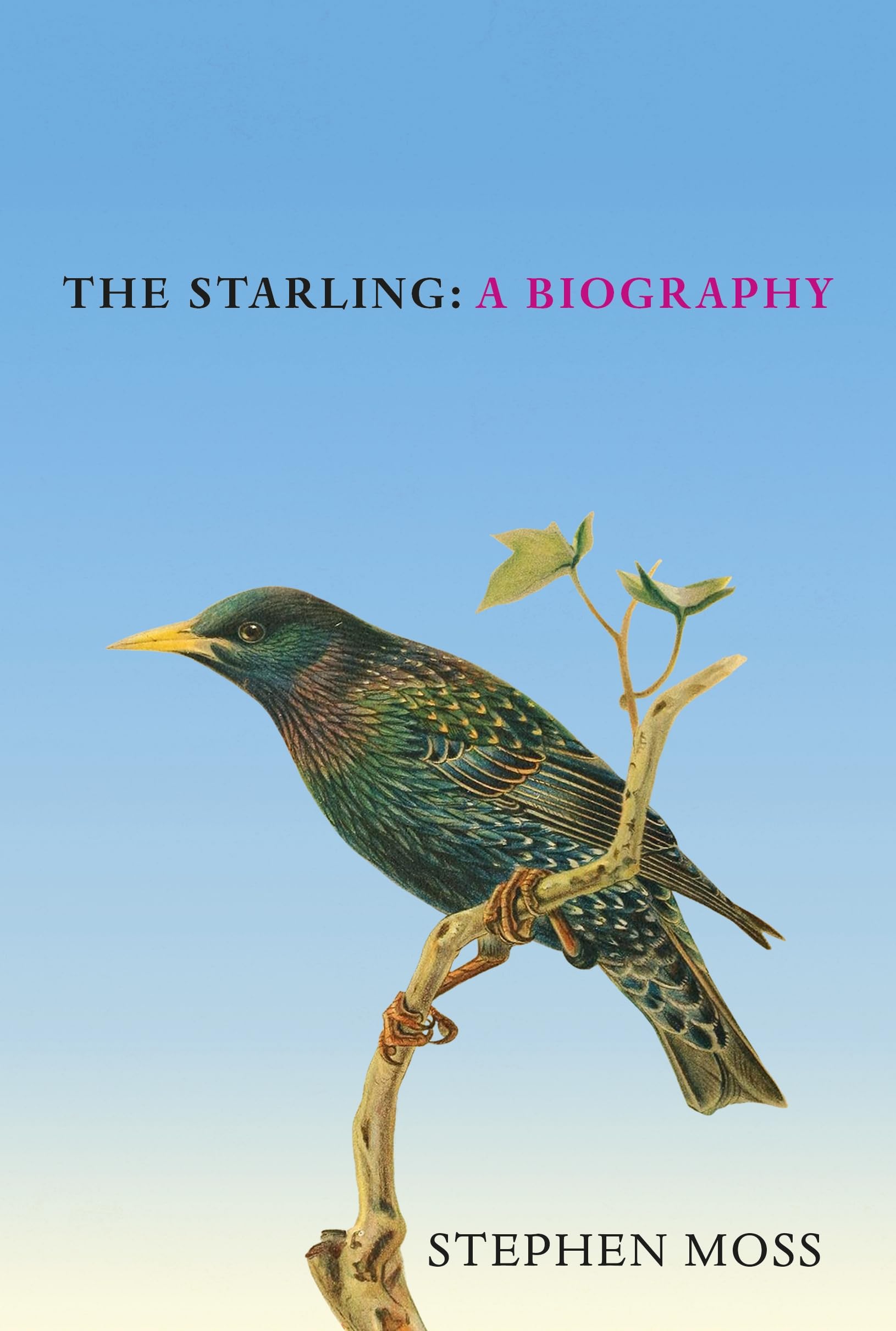 Stephen Moss The Starling, A Biography (The Bird Biography Series, 6)