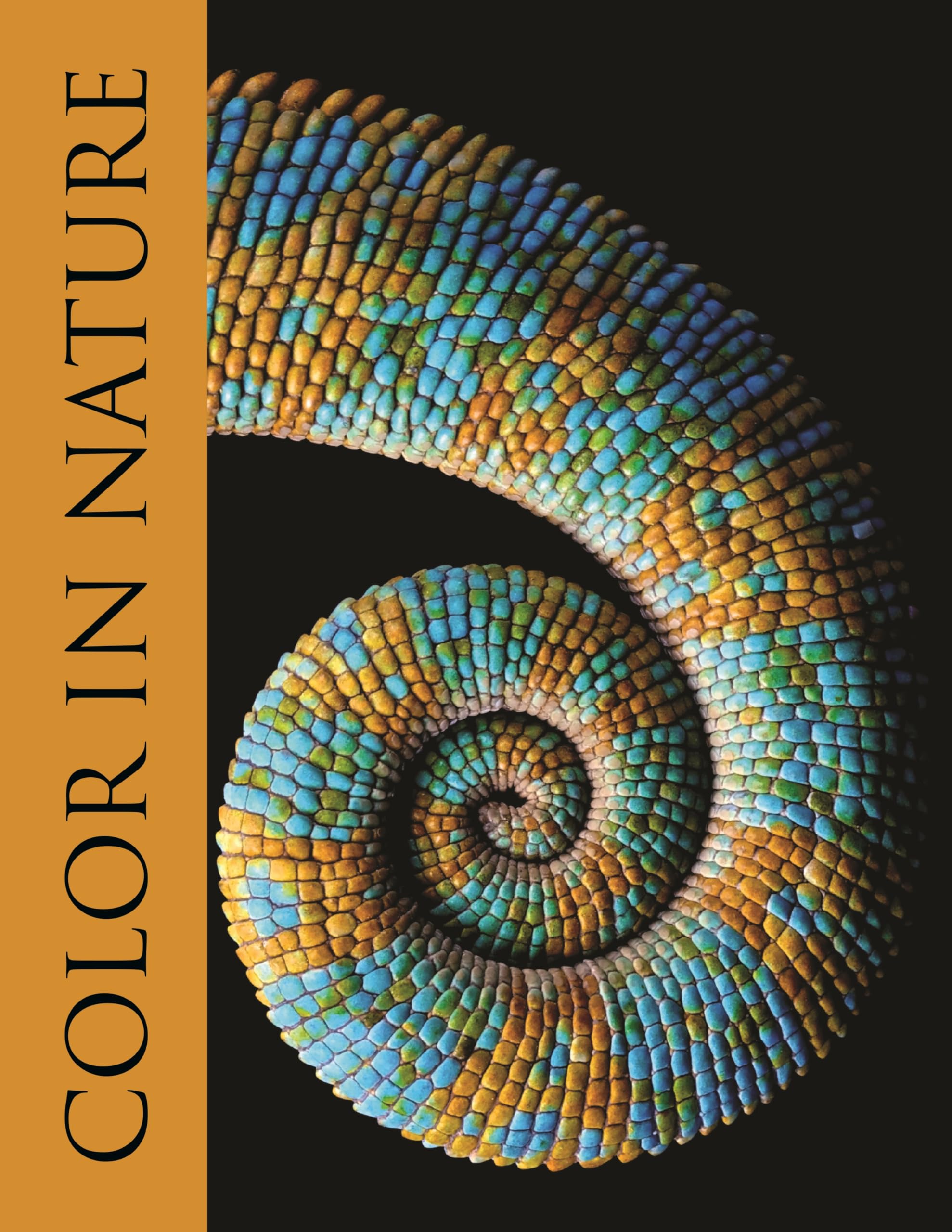 Justin mARSHALL Color In Nature