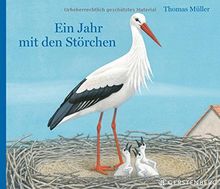 Ein Jahr mit den Störchen von Müller, Thomas | Buch | Zustand gut