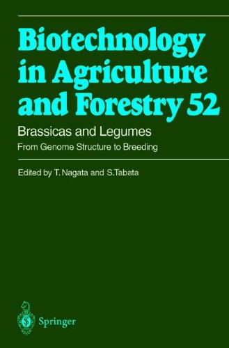 Brassicas and Legumes From Genome Structure to Breeding (Biotechnology in Agriculture and Forestry)