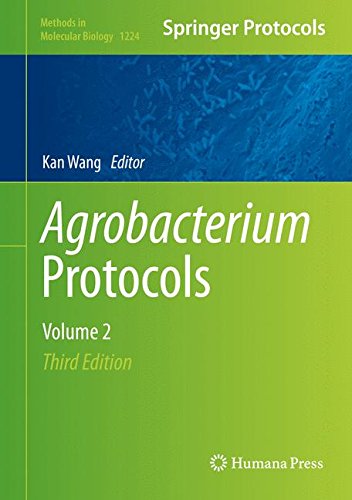 Agrobacterium Protocols: Volume 2 (Methods in Molecular Biology)
