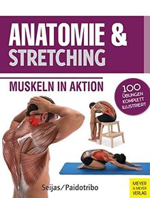 Anatomie & Stretching: Muskeln in Aktion