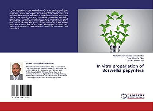 In vitro propagation of Boswellia papyrifera
