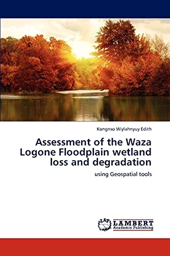 Assessment of the Waza Logone Floodplain wetland loss and degradation: using Geospatial tools