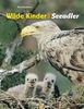 Wilde Kinder - Seeadler