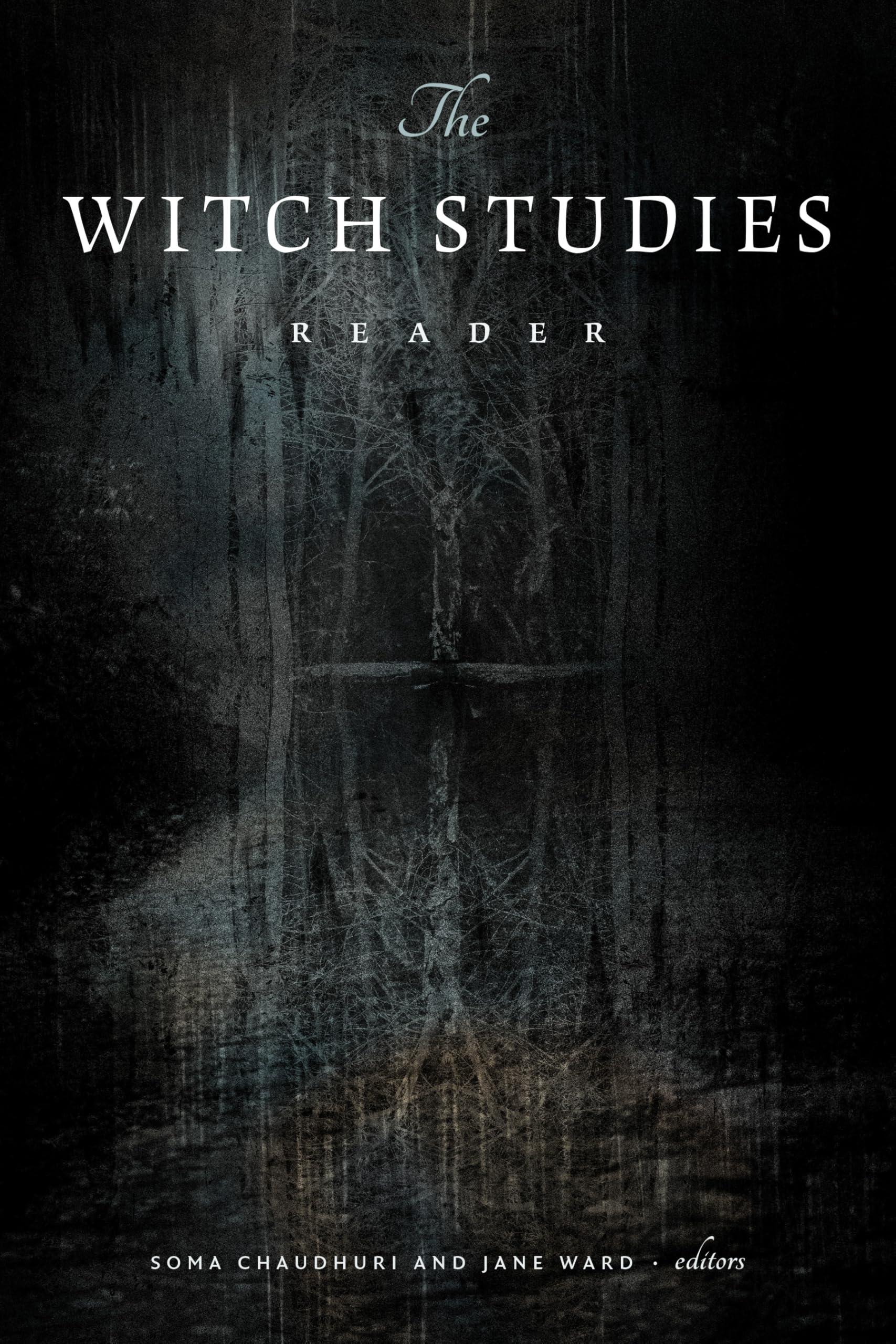 unbekannt The Witch Studies Reader