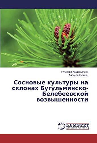 Сосновые культуры на склонах Бугульминско-Белебеевской возвышенности