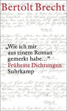 »Wie ich mir aus einem Roman gemerkt habe ...«: Früheste Dichtungen