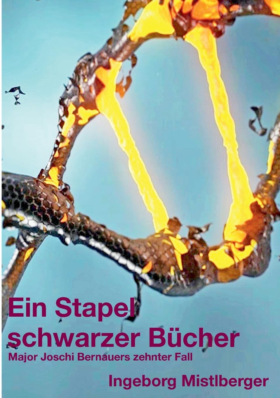 Ein Stapel schwarzer Bücher: Major Joschi Bernauers zehnter Fall (Die Fälle des Major Joschi Bernauer)