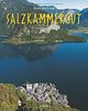 Reise durch das SALZKAMMERGUT - Ein Bildband mit über 200 Bildern - STÜRTZ Verlag