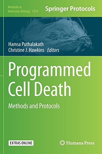 Programmed Cell Death: Methods and Protocols (Methods in Molecular Biology)