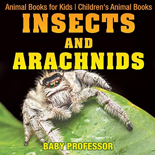 Insects and Arachnids: Animal Books for Kids Children's Animal Books