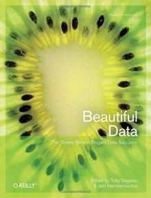 Beautiful Data: The Stories Behind Elegant Data Solutions von Toby Segaran | Buch | Zustand gut