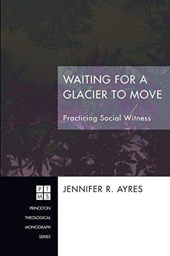Waiting for a Glacier to Move: Practicing Social Witness (Princeton Theological Monograph Series)