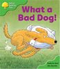 Oxford Reading Tree: Stage 2: Storybooks: What a Bad Dog!